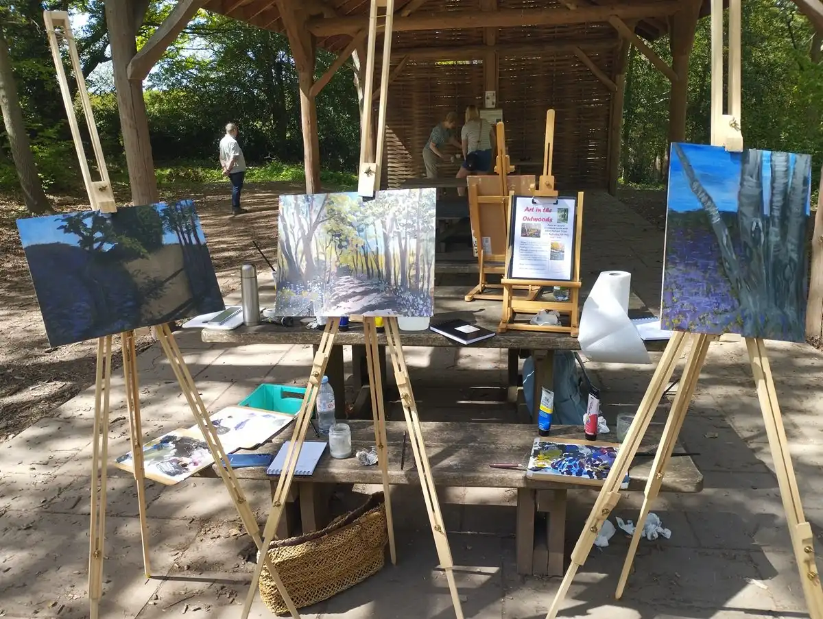 Art in the Outwoods