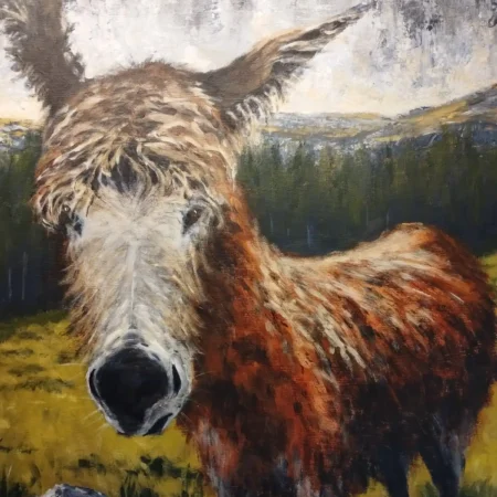 Donegal Donkey