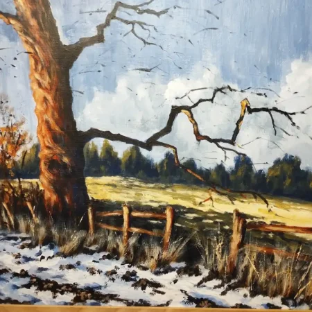 Outwoods Bound by Richard Trigg