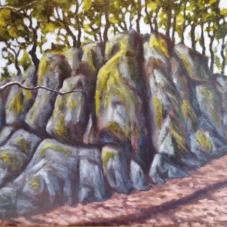 Outwoods Rocks