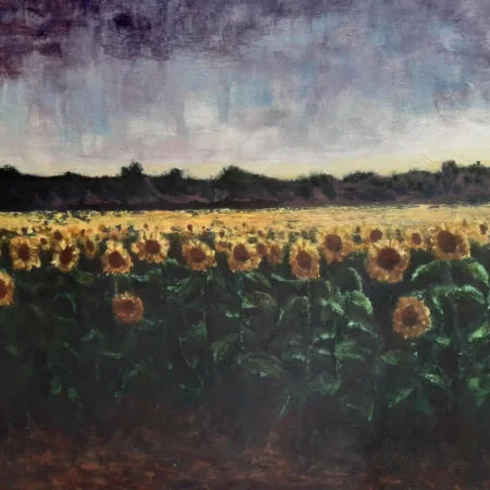 Setting Sunflowers