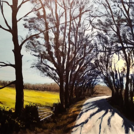 A Shady Lane (Everyone Wants One)