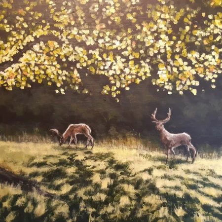 Stag Party