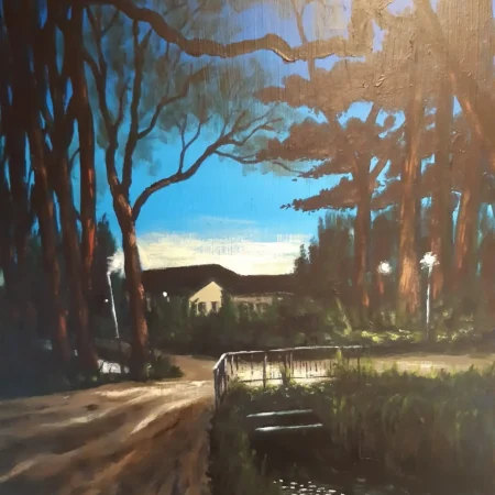 Stream of Consciousness