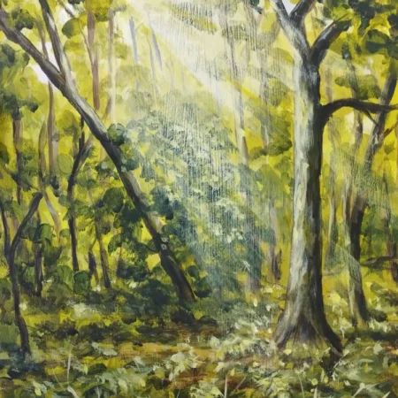 Understorey