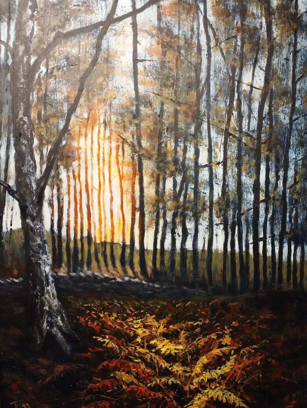 Amber Afternoon